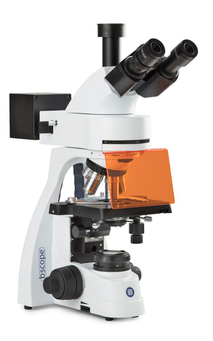 Microscopio Trinocular BS.3153-PLi/HBO