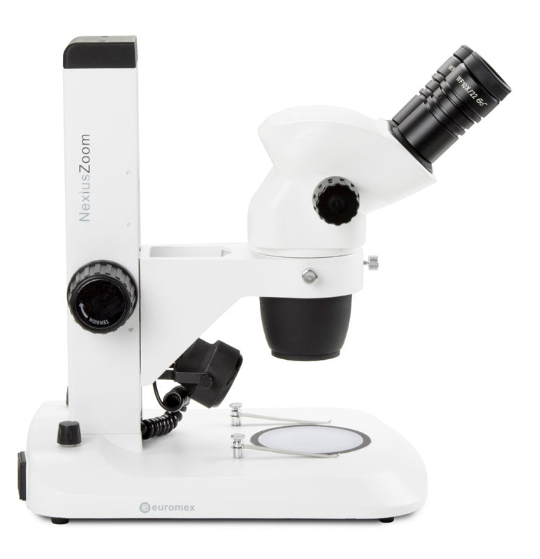 Estereomicroscopio Binocular NZ.1902-S - www.letscopes.com