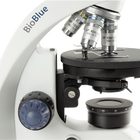 BioBlue
