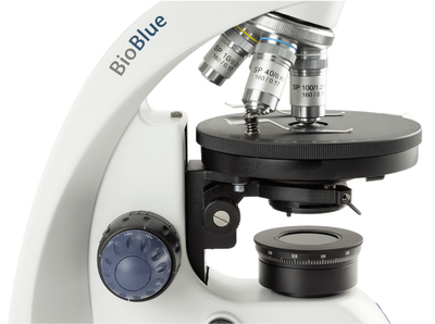 BioBlue