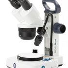 EduBlue