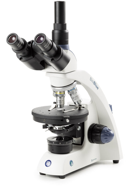 Microscopio Trinocular BioBlue BB.4241-P-DLED - www.letscopes.com