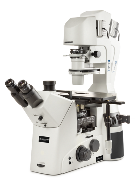 Microscopio Trinocular invertido Delphi-X Inverso DI.1053-PLPHFi - www.letscopes.com
