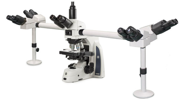 Delphi-X Observer multi-head microscope for 5 observers DX.1156-PLi/5 - www.letscopes.com