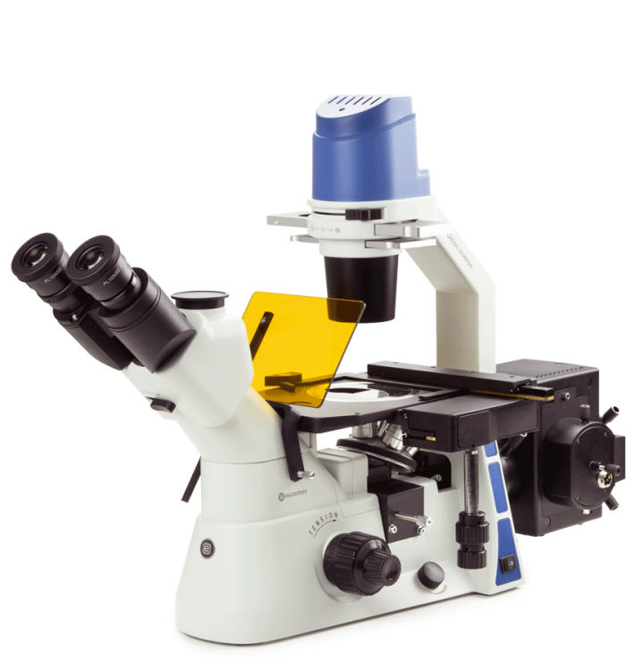 Microscopio Trinocular invertido Oxion Inverso OX.2453-PLPHF - www.letscopes.com