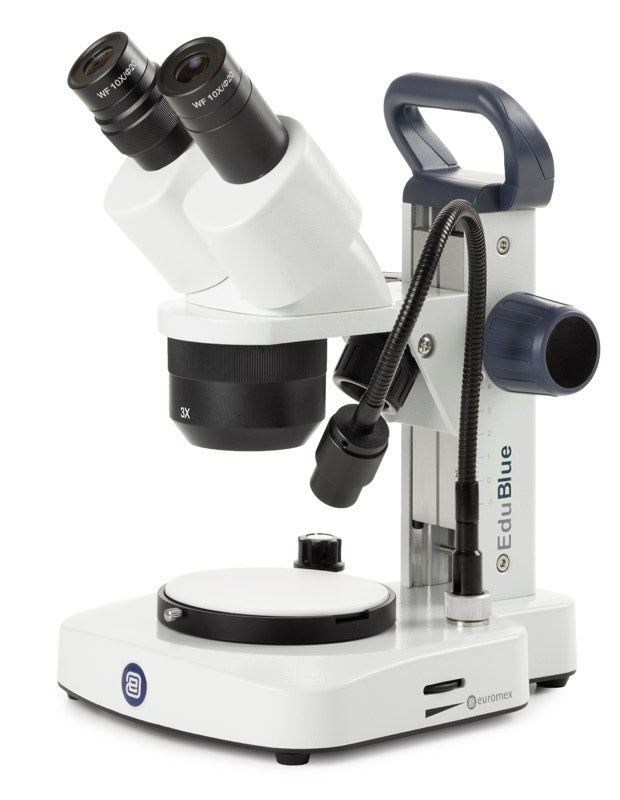 Estereomicroscopio Binocular  ED.1302-EVO - www.letscopes.com