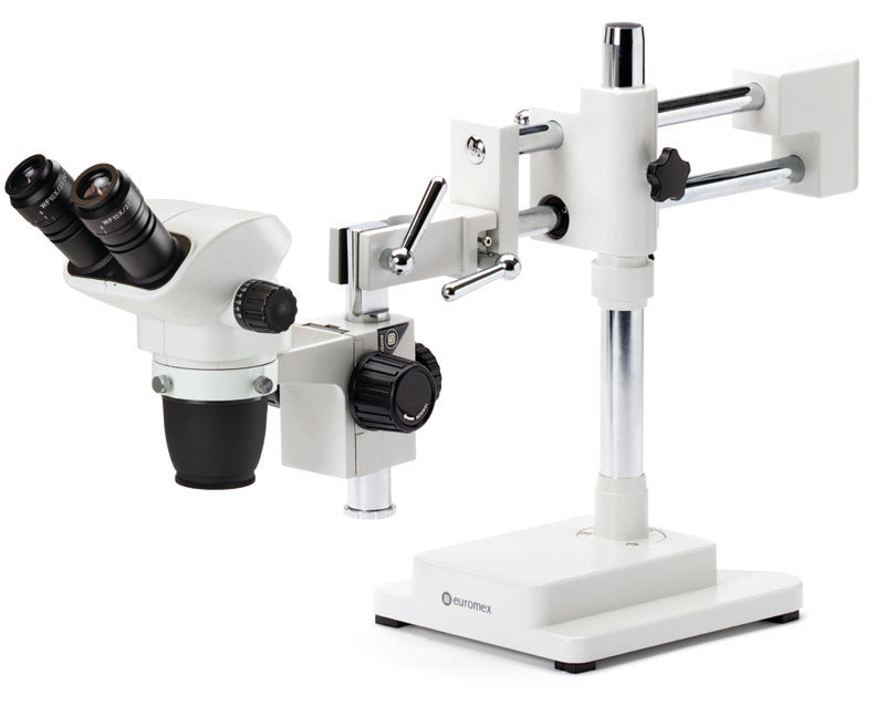 Estereomicroscopio Binocular  NZ.1702-B - www.letscopes.com