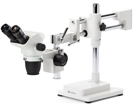 Estereomicroscopio Binocular  NZ.1702-B - www.letscopes.com
