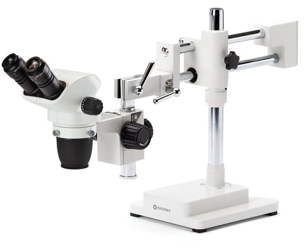 Estereomicroscopio Binocular  NZ.1702-B - www.letscopes.com