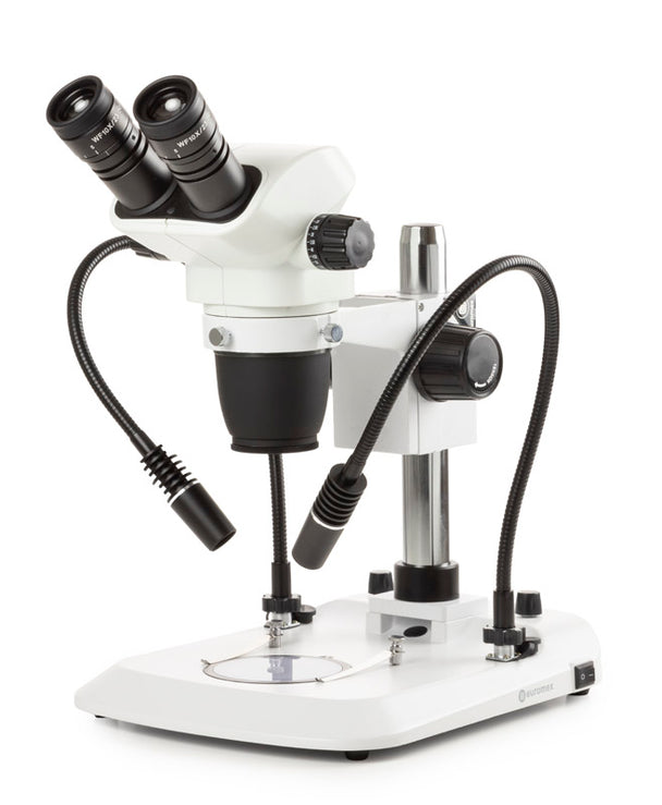 Estereomicroscopio Binocular  NZ.1702-PG - www.letscopes.com