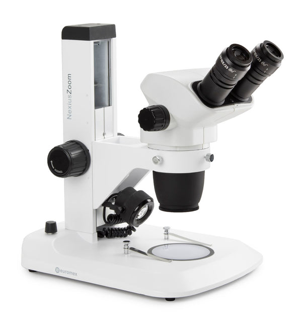 Estereomicroscopio Binocular  NZ.1702-S - www.letscopes.com