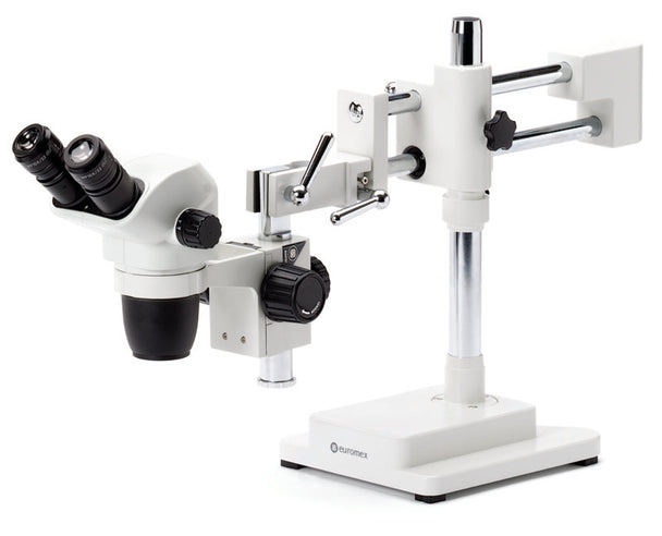 Estereomicroscopio  Binocular  NZ.1902-B - www.letscopes.com
