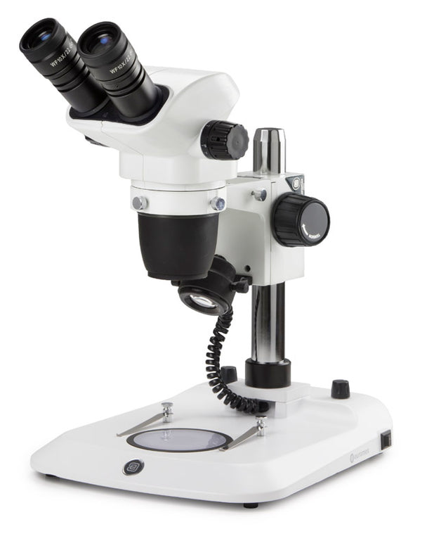 Estereomicroscopio Binocular  NZ.1902-P - www.letscopes.com