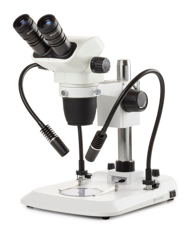 Estereomicroscopio Binocular  NZ.1902-PG - www.letscopes.com