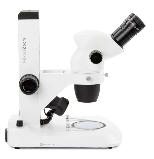 Estereomicroscopio Binocular  NZ.1902-S - www.letscopes.com