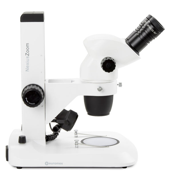Estereomicroscopio Binocular  NZ.1902-S - www.letscopes.com