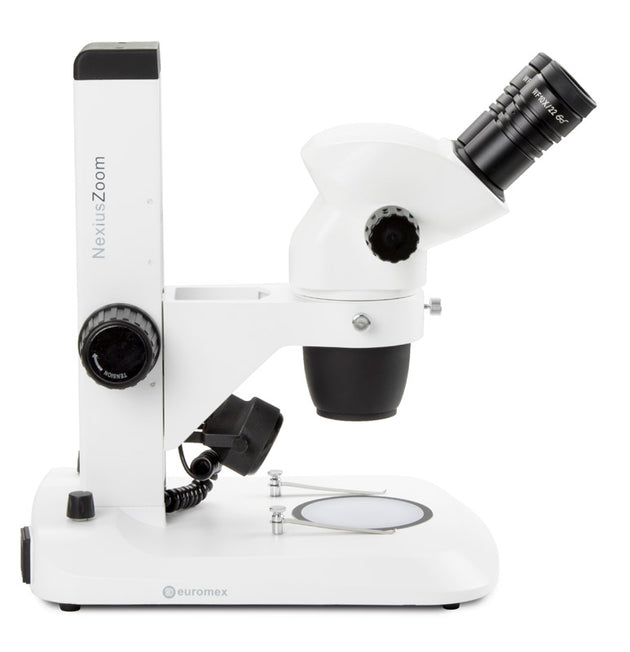 Estereomicroscopio Binocular  NZ.1902-S - www.letscopes.com