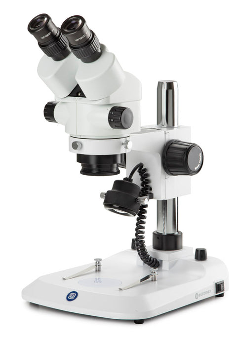 Lupas y estereomicroscopios de laboratorio