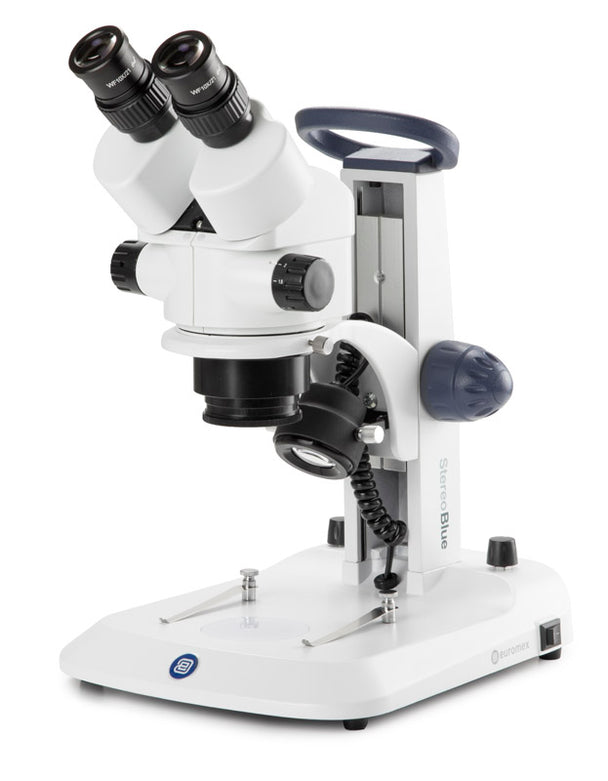 Estereomicroscopio Binocular  SB.1902 - www.letscopes.com